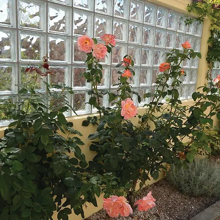 4 Bedroom Beautiful In Črni Kal